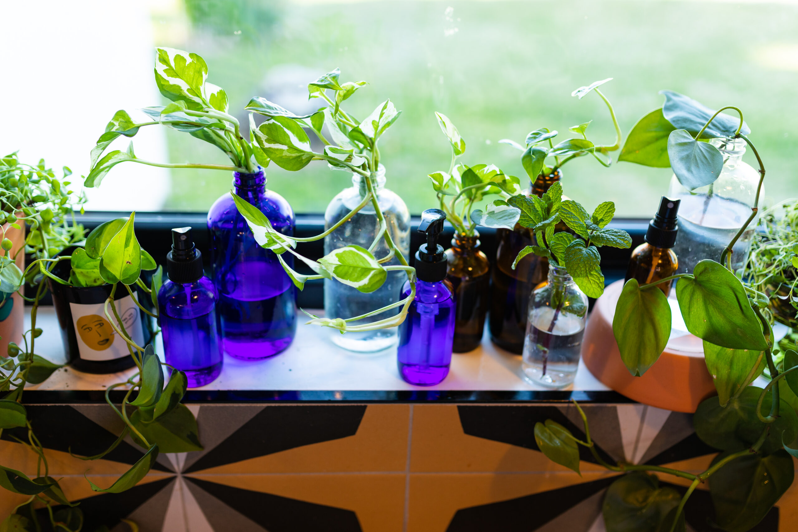 propogation-station-plant-clippings-repurposed-glass-bottles