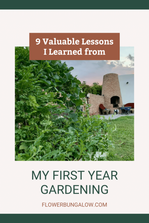 9-valuable-lessons-first-year-gardening-flower-bungalow